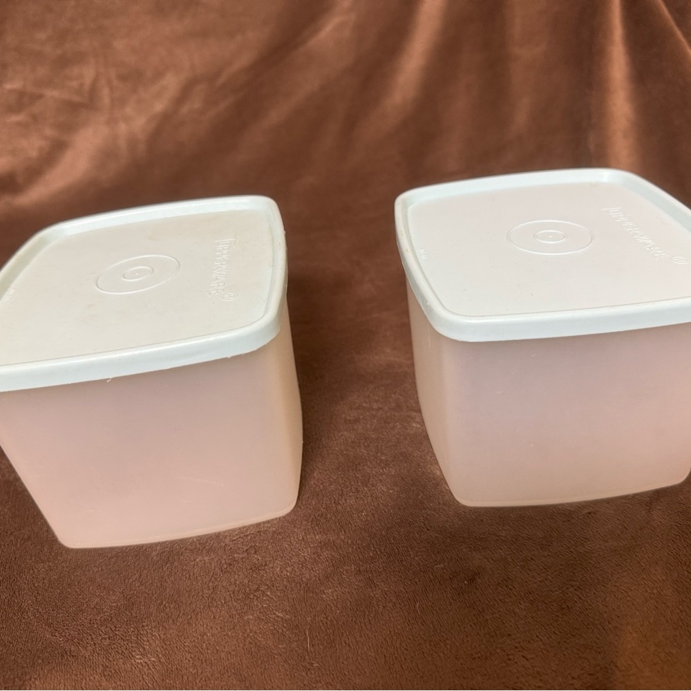 Tupperware blue sheer clear freezer Storage Containers